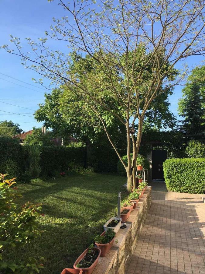 Byala Residence Apartments Luaran gambar